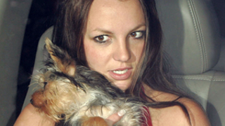 Dear Britney, We're Worried About Your Liver